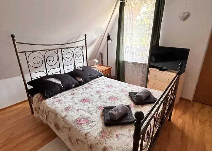 Проживание в семье Zielona Kraina