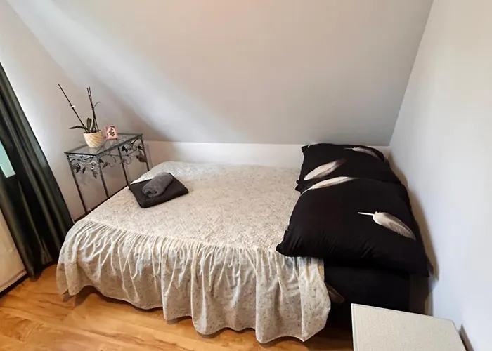 Zielona Kraina Проживание в семье *